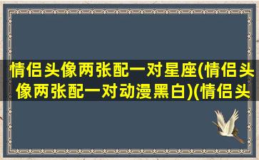 情侣头像两张配一对星座(情侣头像两张配一对动漫黑白)(情侣头像十二星座 动漫)